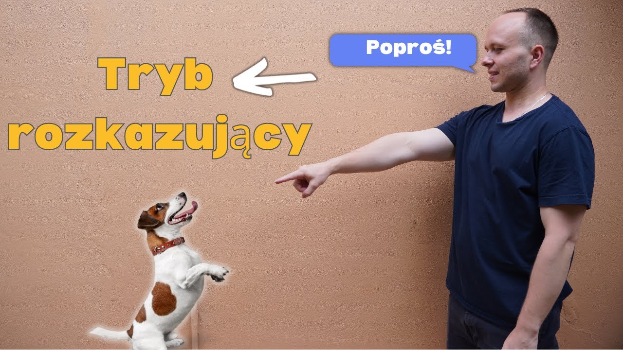 Imperative in Polish | Tryb rozkazujący