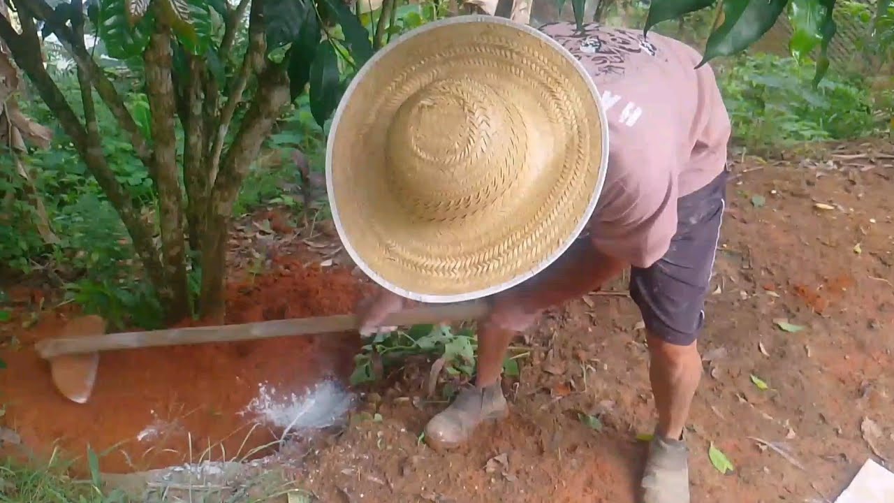  Começou A Limpeza Do Sítio #vidanaroça 