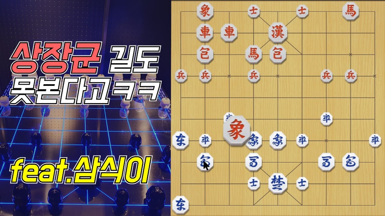 22급 수준의 떡수를 두어버린 프로9단의 폐차후의 반전이 있을까?