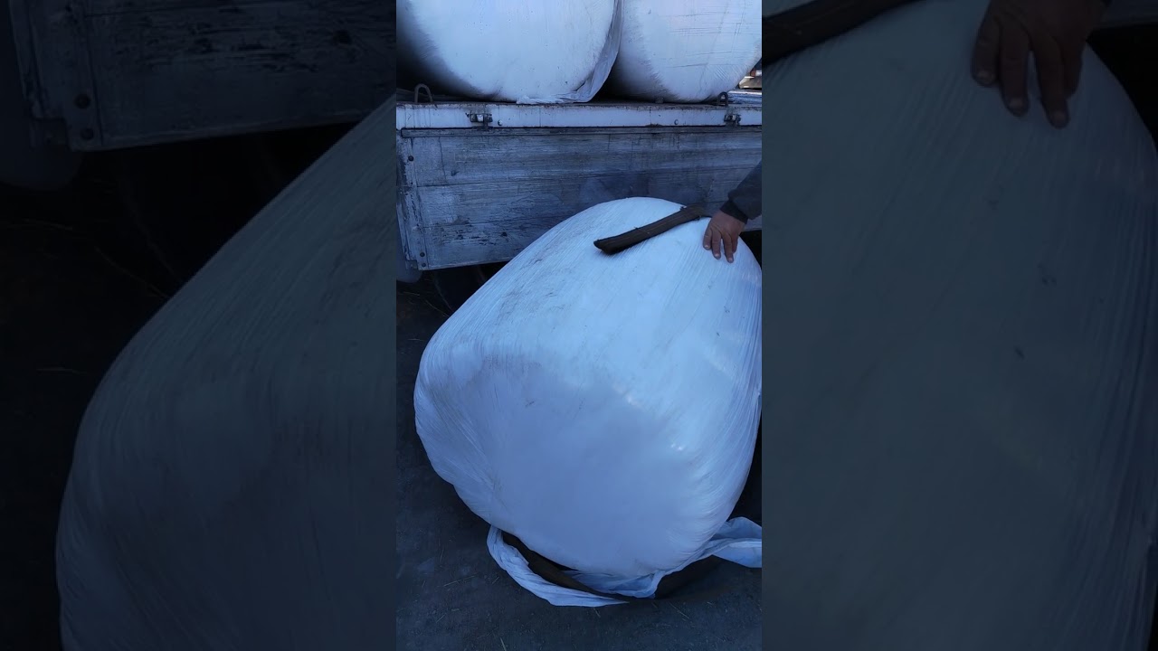 ot yem bazari gence dellal