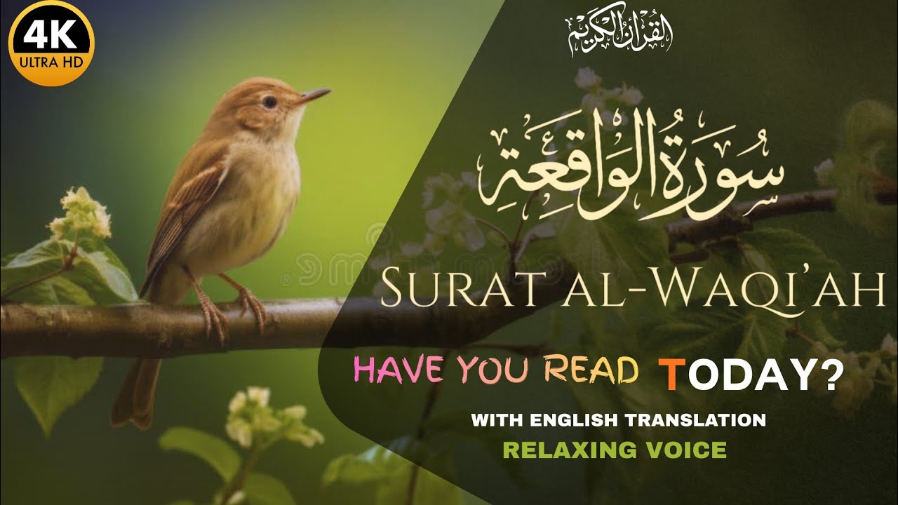 Surah Al Waqiah | Relaxing Quran Recitation For Your Soul | سورة الواقعة | 