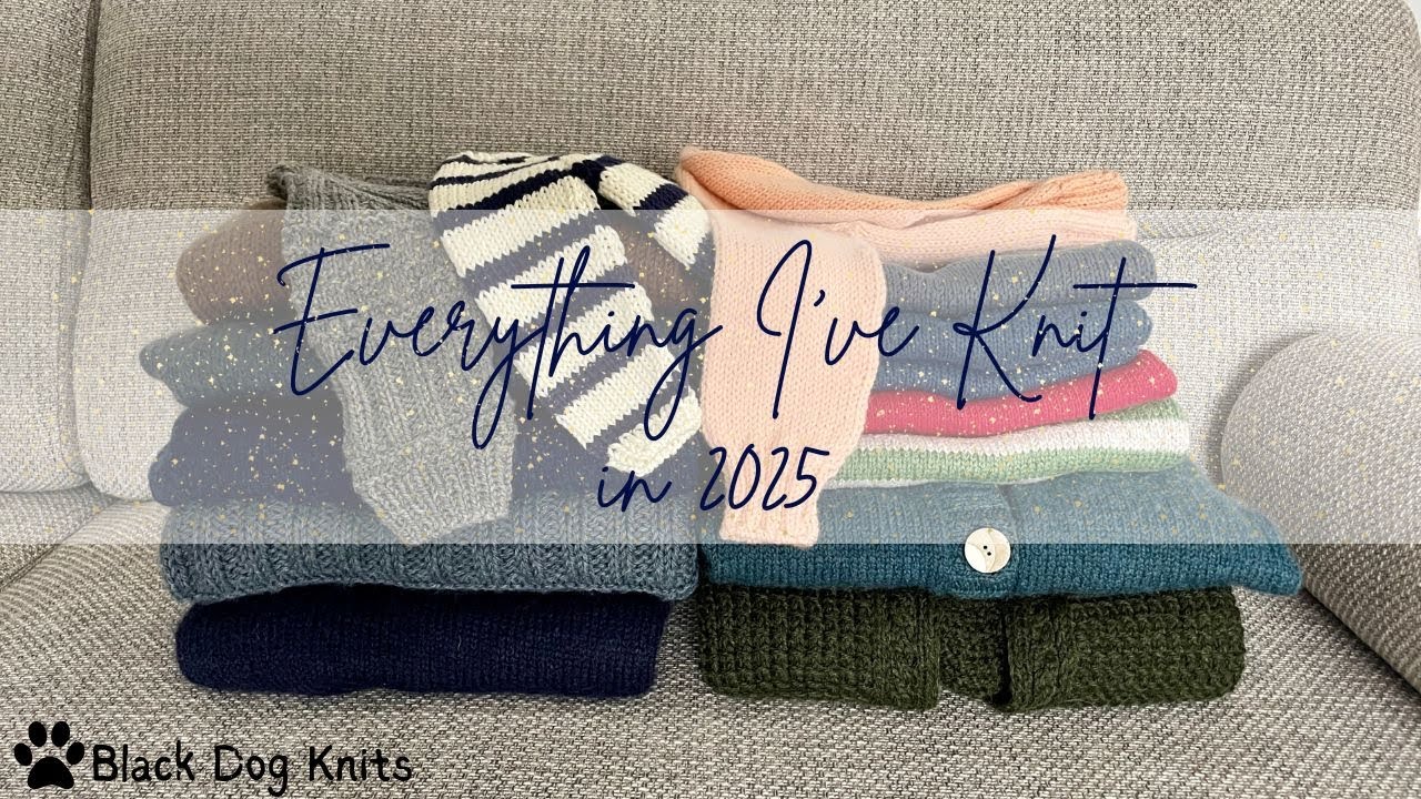 Everything I've Knit in 2025 🧶 | Black Dog Knits 🐾