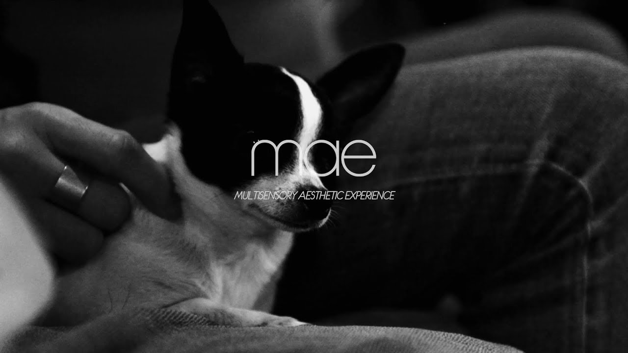 MAE: 10 Things Robots Can't Do Better Than Humans