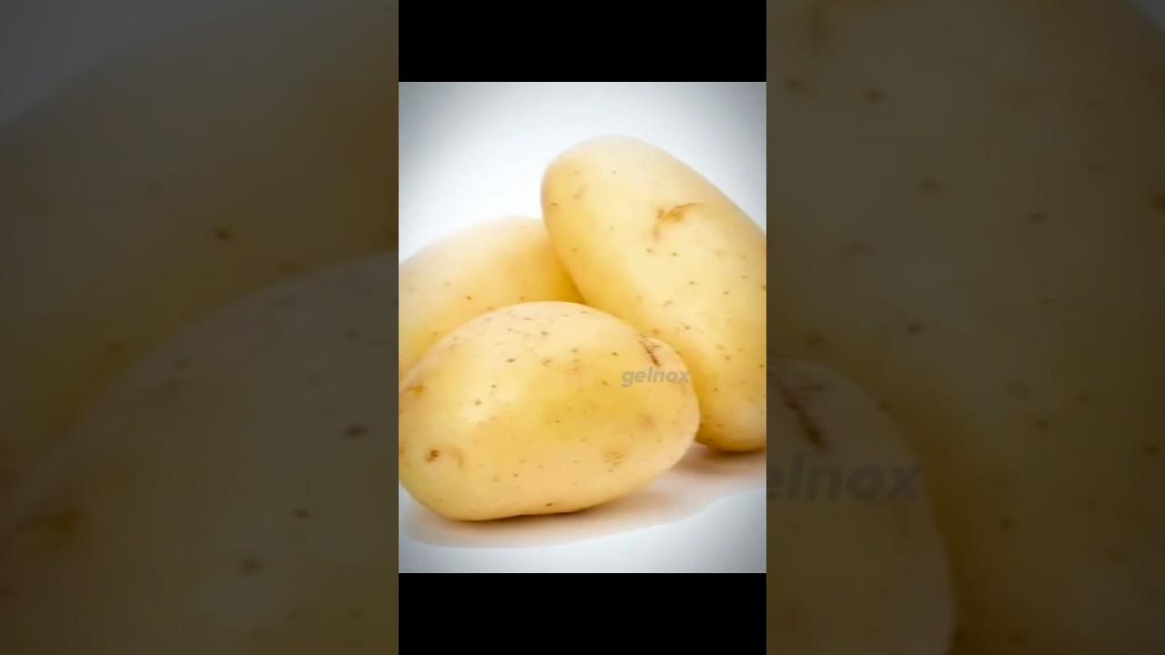 Potato