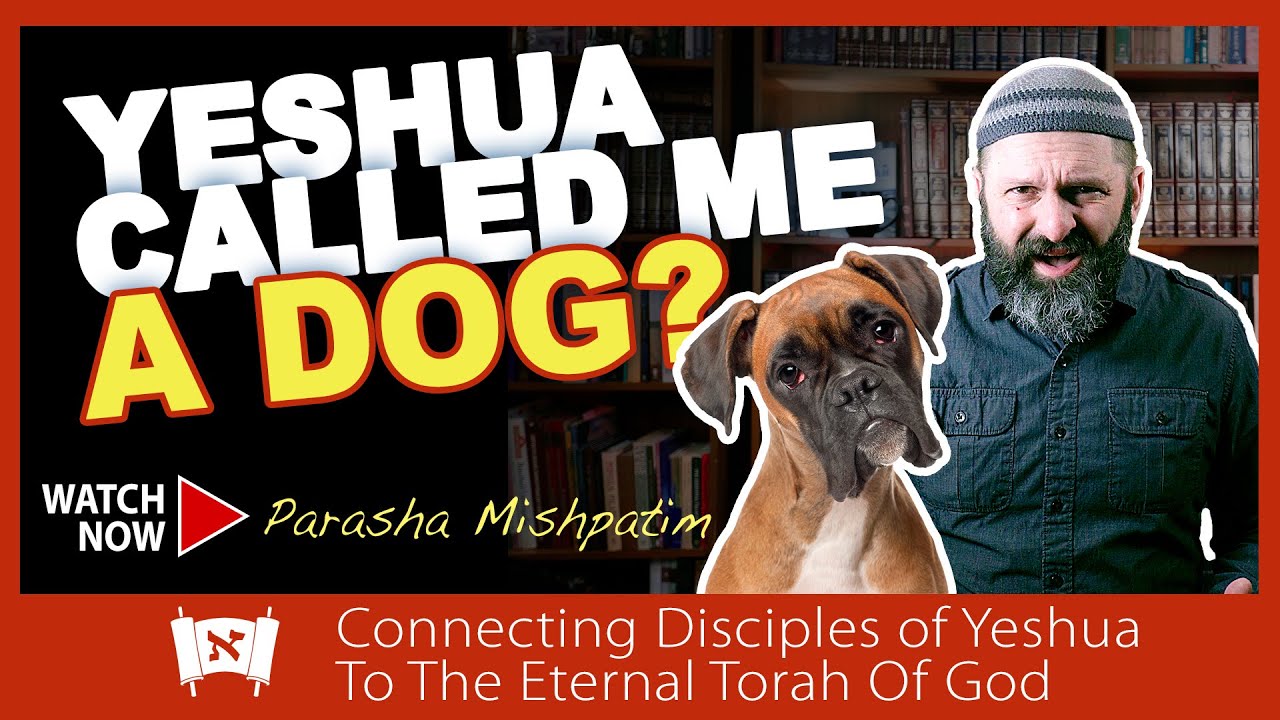 Are Gentiles Really Dogs? | Messianic Commentary on Torah Portion #Mishpatim