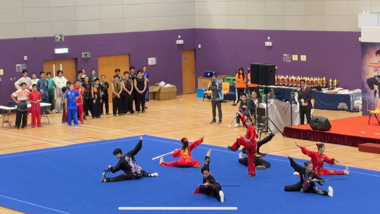 第二屆全港學界武術比賽 港隊表演 太極劍