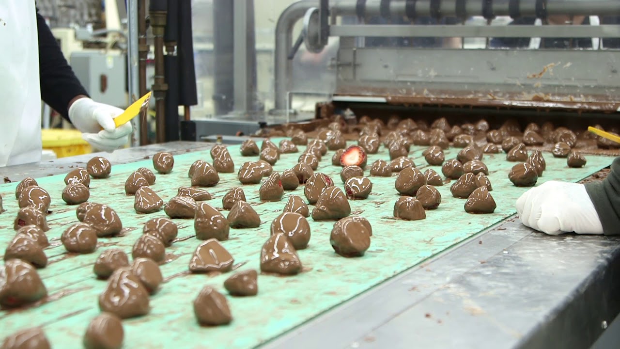 Malley's chocolate-covered strawberries factory tour