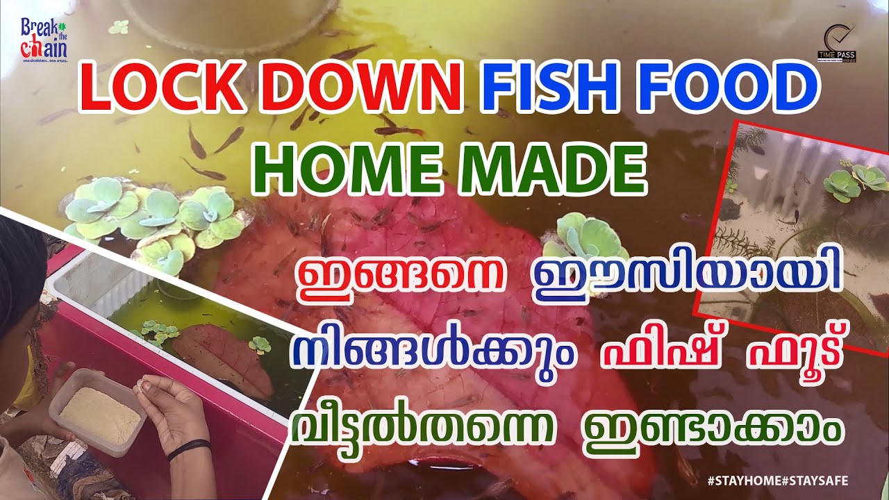 LOCK DOWN HOME MADE FISH FOOD | MALAYALAM | TIME PASS MADS
