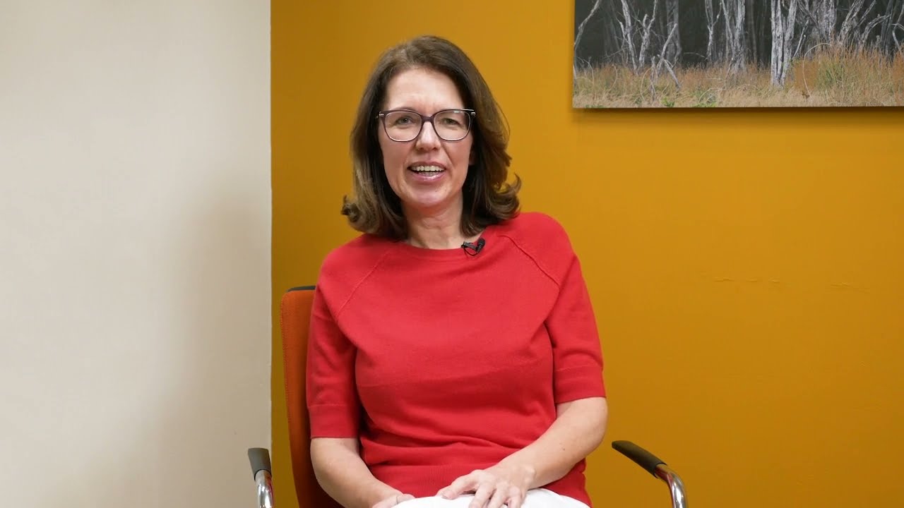 Voice Dialogue introductiefilm
