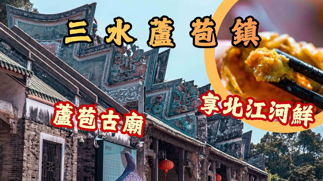 佛山三水行之蘆苞鎮Citywalk🚶‍♂️丨探訪本地最靈古廟✨看胥江祖廟三雕二塑一彩丨打卡「廣東版阿勒泰草原」北江大堤丨必吃北江極品河鮮❣️清蒸野生桂花魚🐟鹹蛋黃避風塘炒河蟹🦀丨#大灣區 #佛山美食
