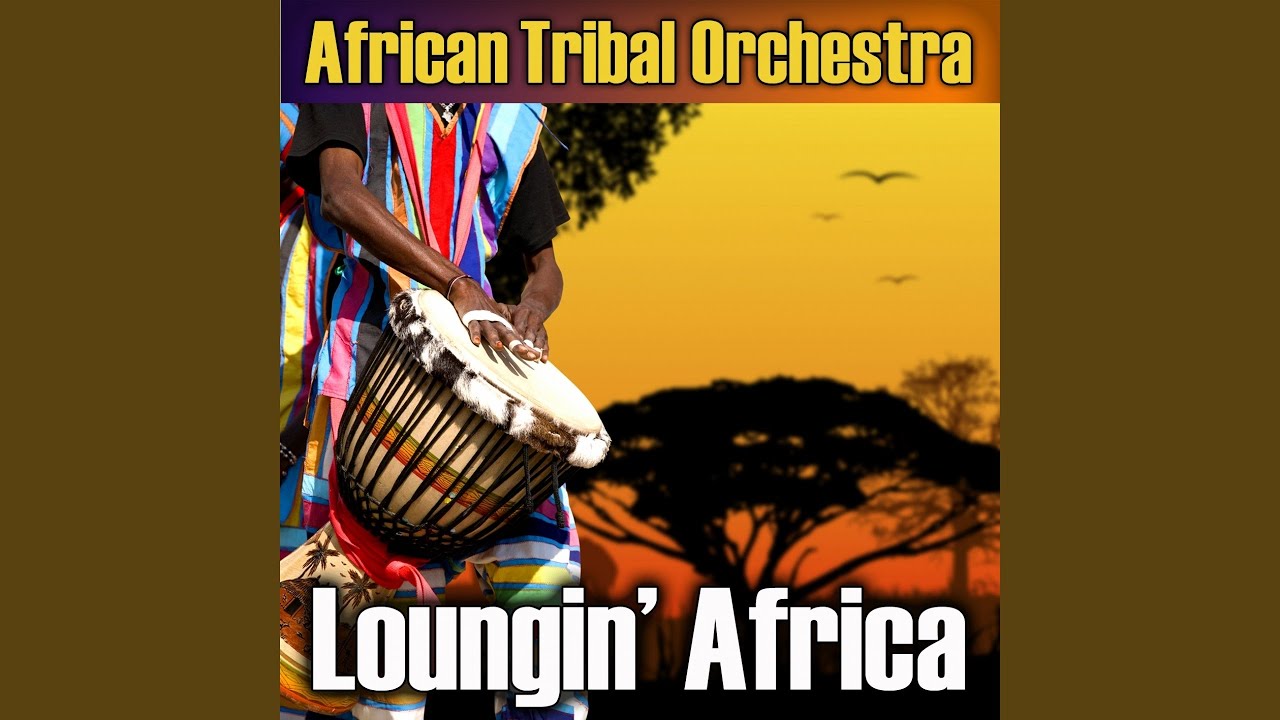 Nights of Africa