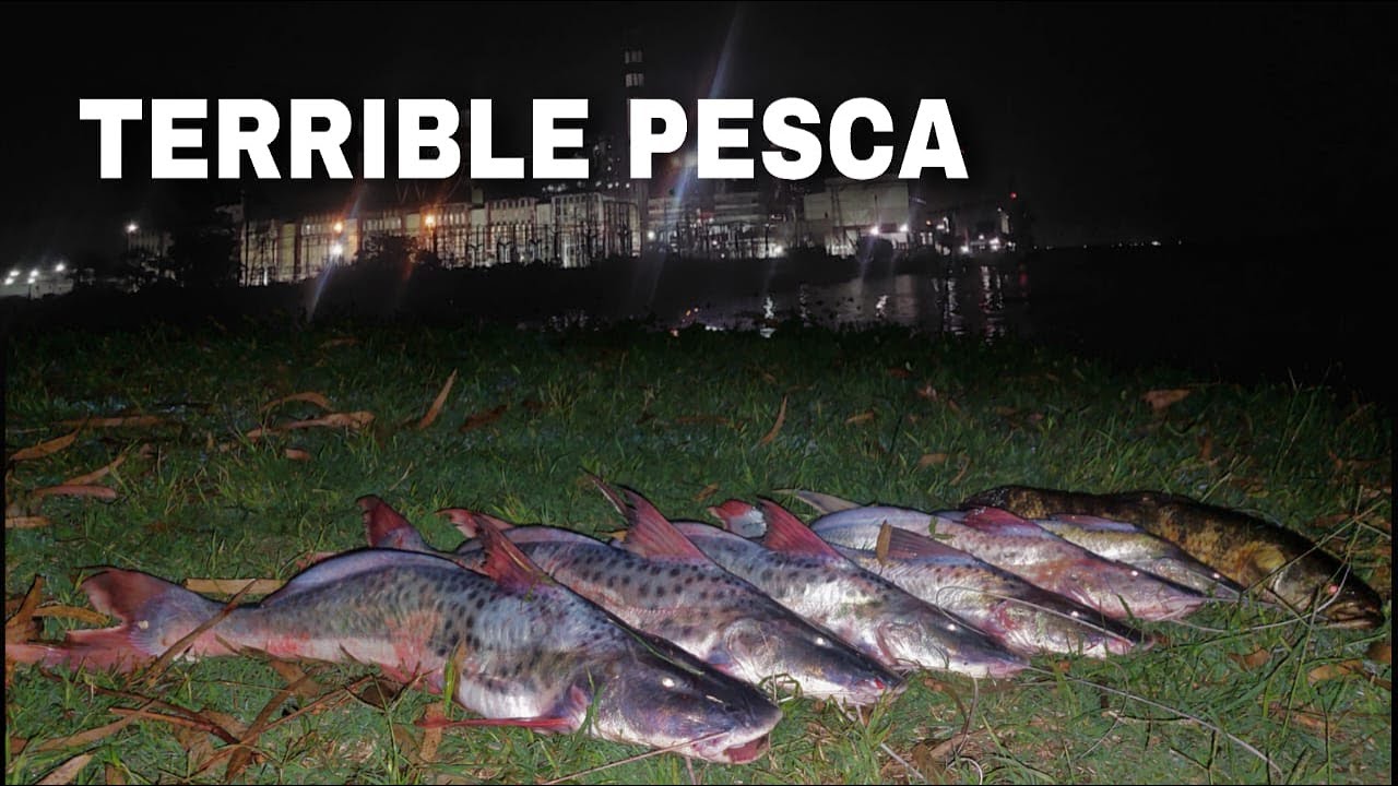 MUCHO PESCADO EN ESTE LUGAR🤯🤯