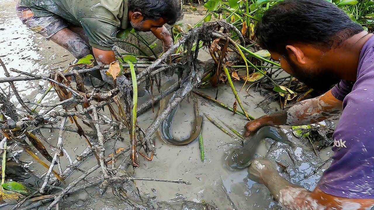 Video of Catching a Lot of Fish in The Canal । Traditional Hand Fishing video । Zaor_Fishing
