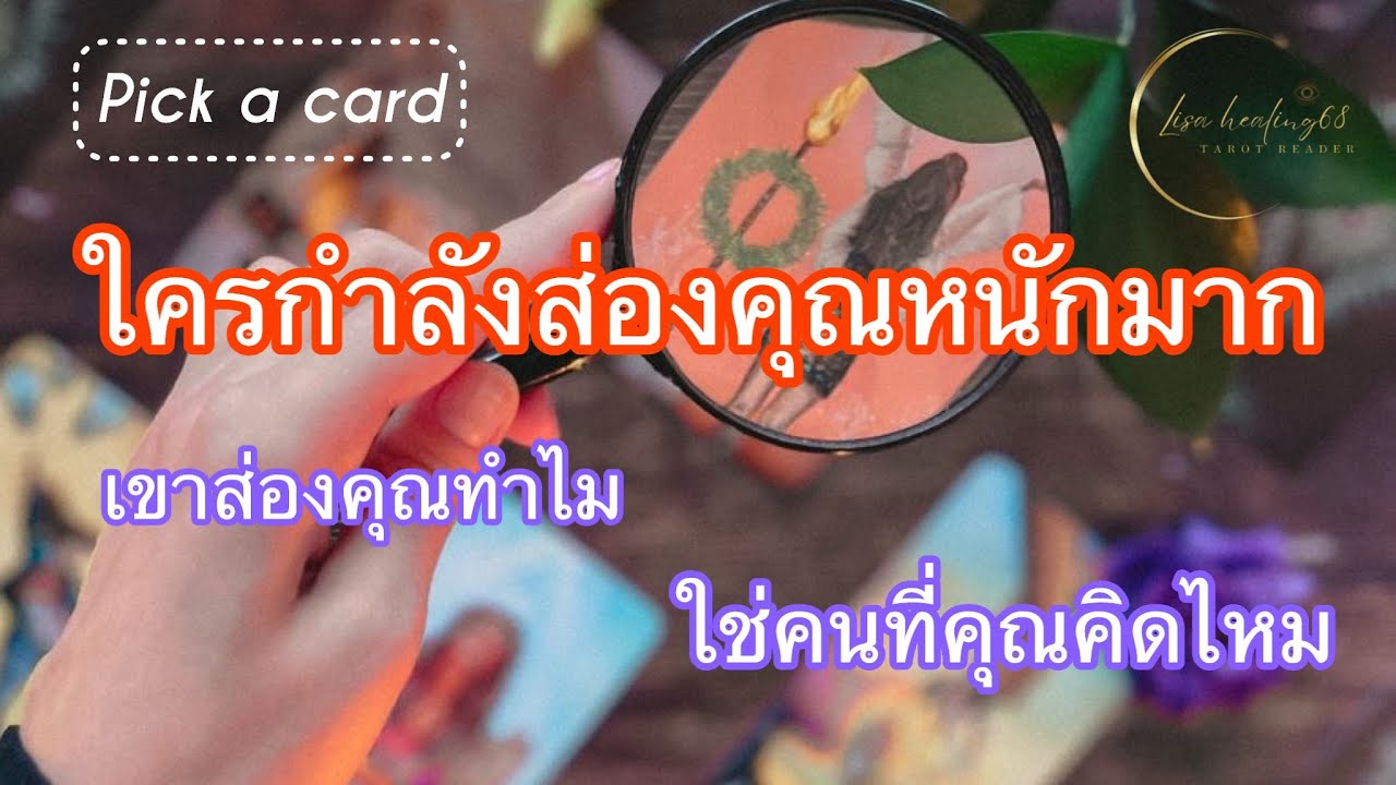 Pick a card🌹Ep.364 | ใครกำลังส่องคุณหนักมาก เขาส่องทำไม❓Timeless✨