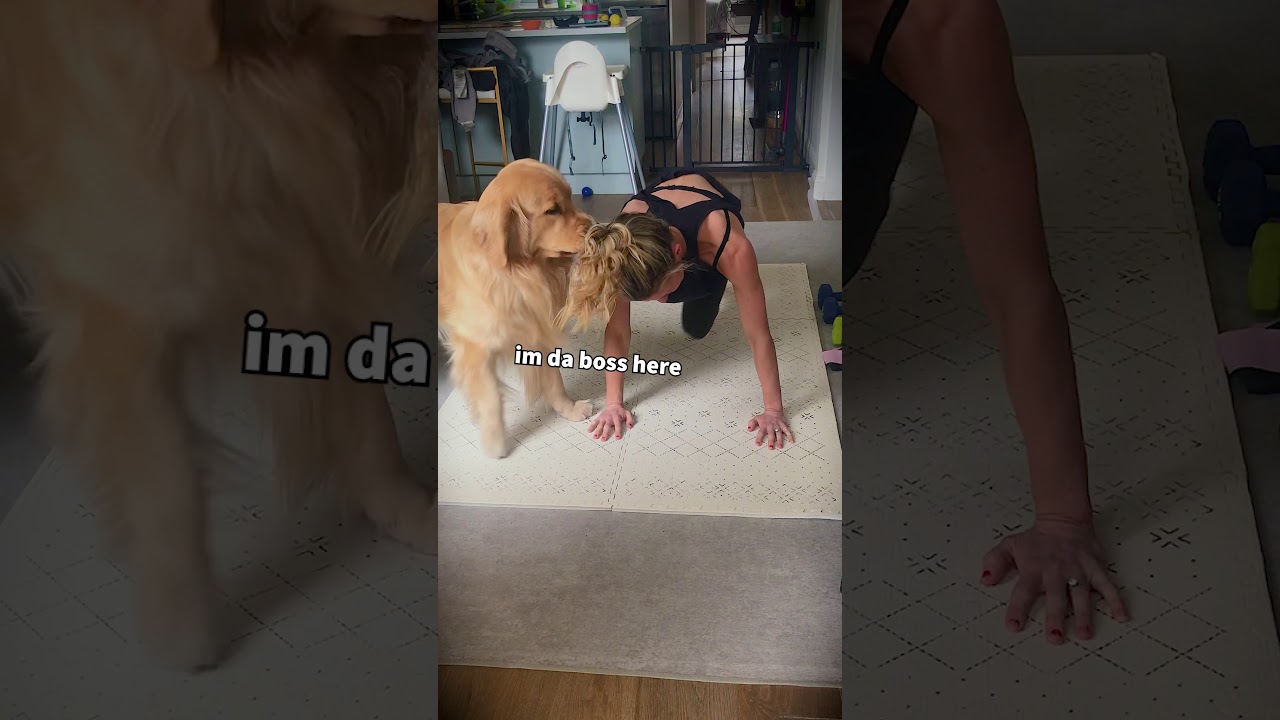 Dog is one of the greatest personal trainers around - backed by science!
