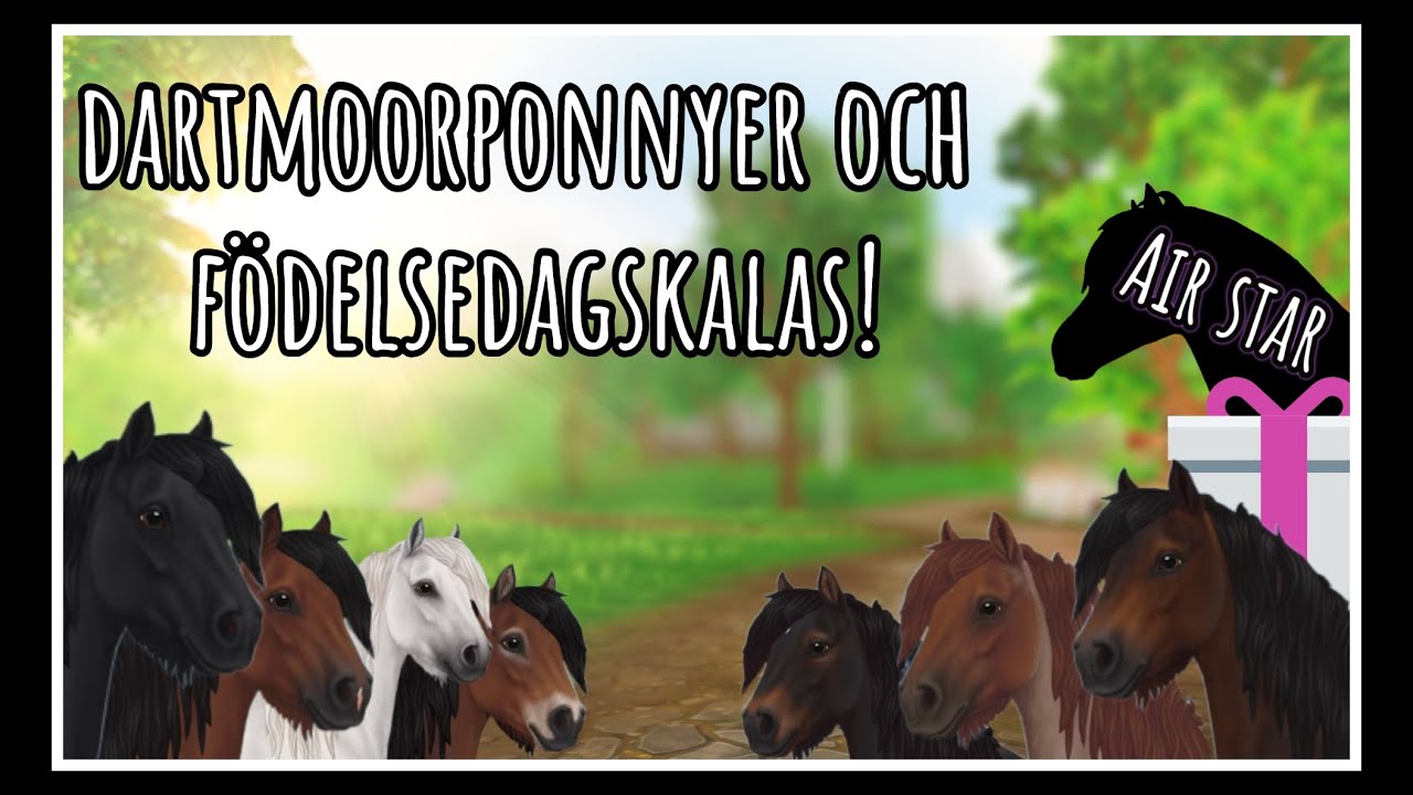 AIR STAR - Dartmoorponnyer och SSOs födelsedag!