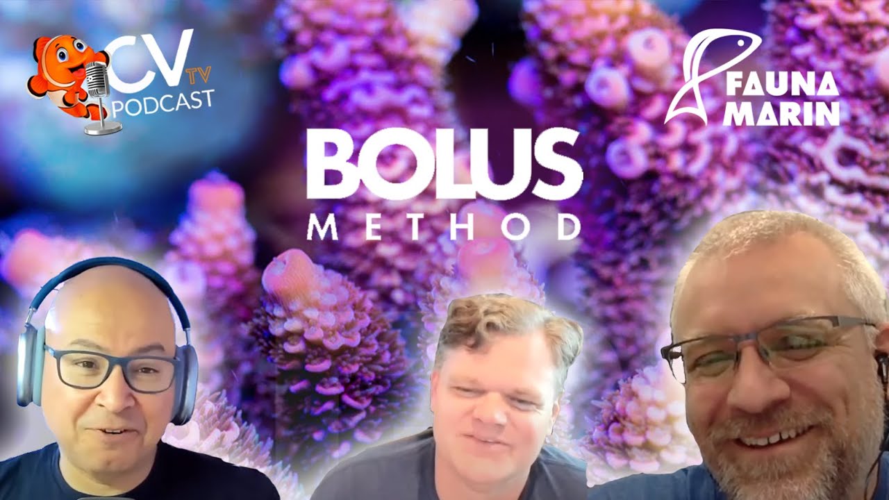 Fauna Marin's BOLUS Method with Claude Schuhmacher