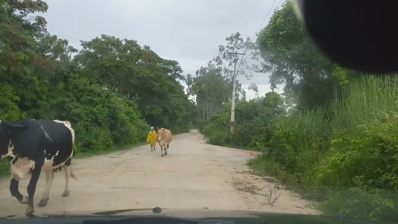 Dificuldade pra chegar em casa 