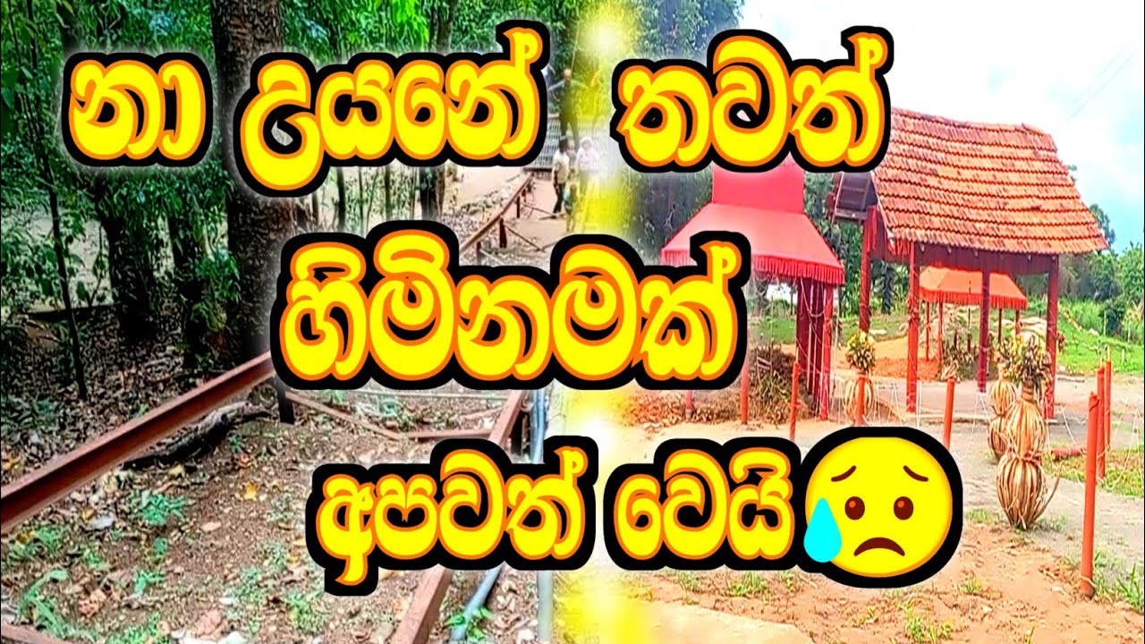 නා උයන ආරණ්‍ය සේනාසනය ඩක්කු අනතුරින් පසු😥
