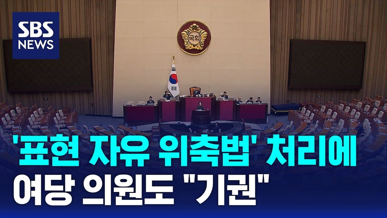 '표현 자유 위축법' 본회의 처리에 여당 의원도 