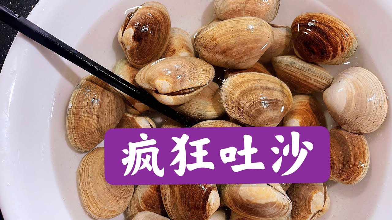 洗花蛤，最忌直接加鹽洗，老漁民教我妙招，花蛤瘋狂急速吐沙Let Clam crazy spat sand