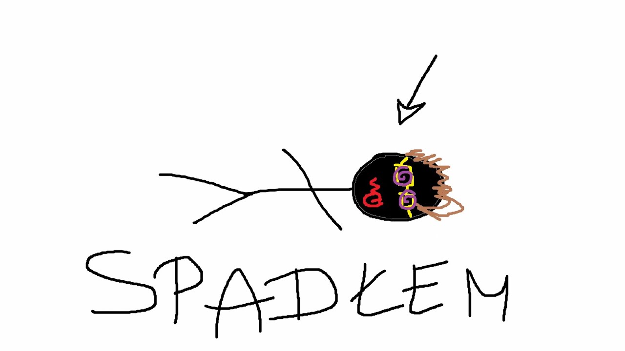 spadłem z wysokości