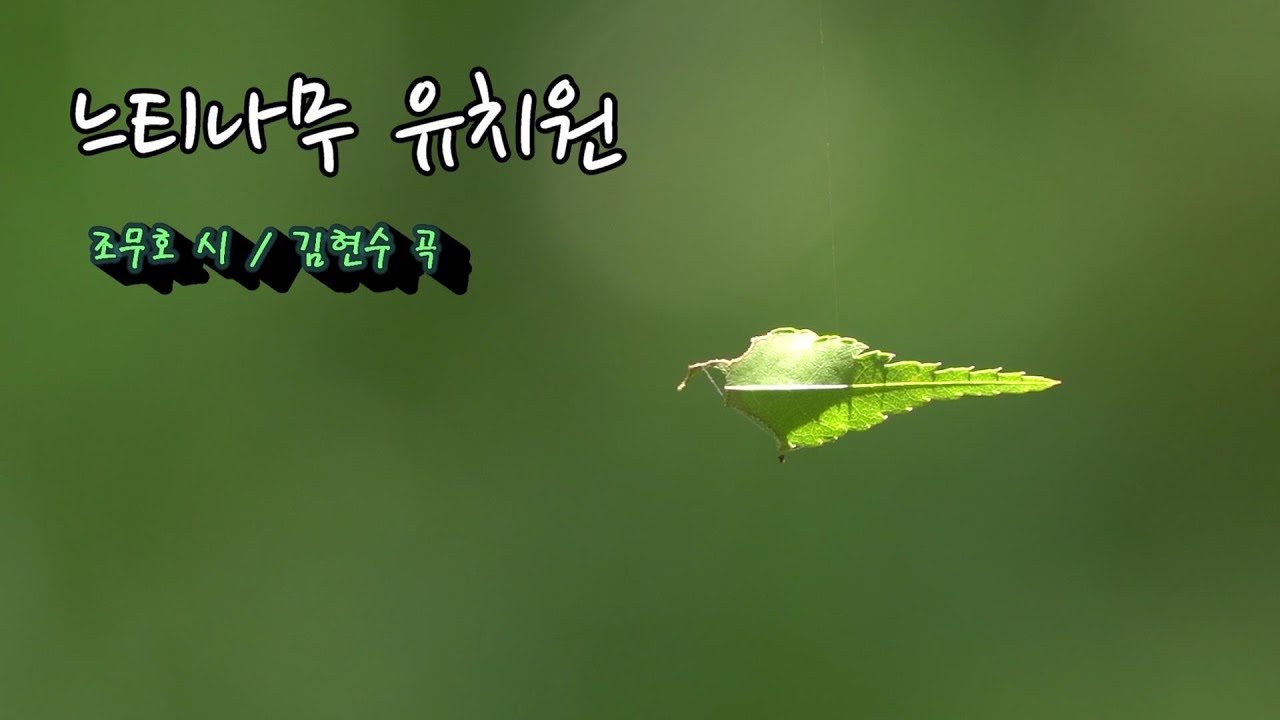 동요 : 느티나무 유치원 ㅡ 조무호 시/김현수 곡