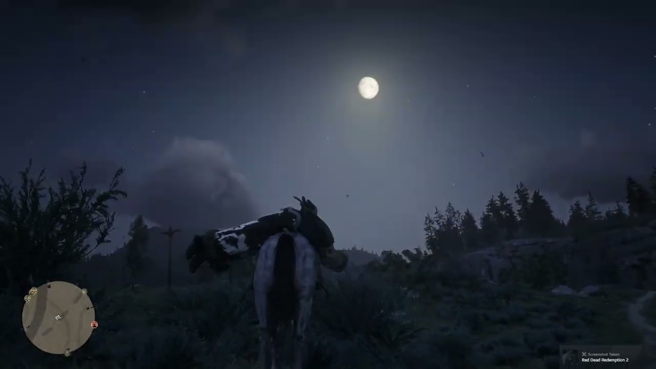 Red dead online Hogtied Cowgirl Goes for a ride