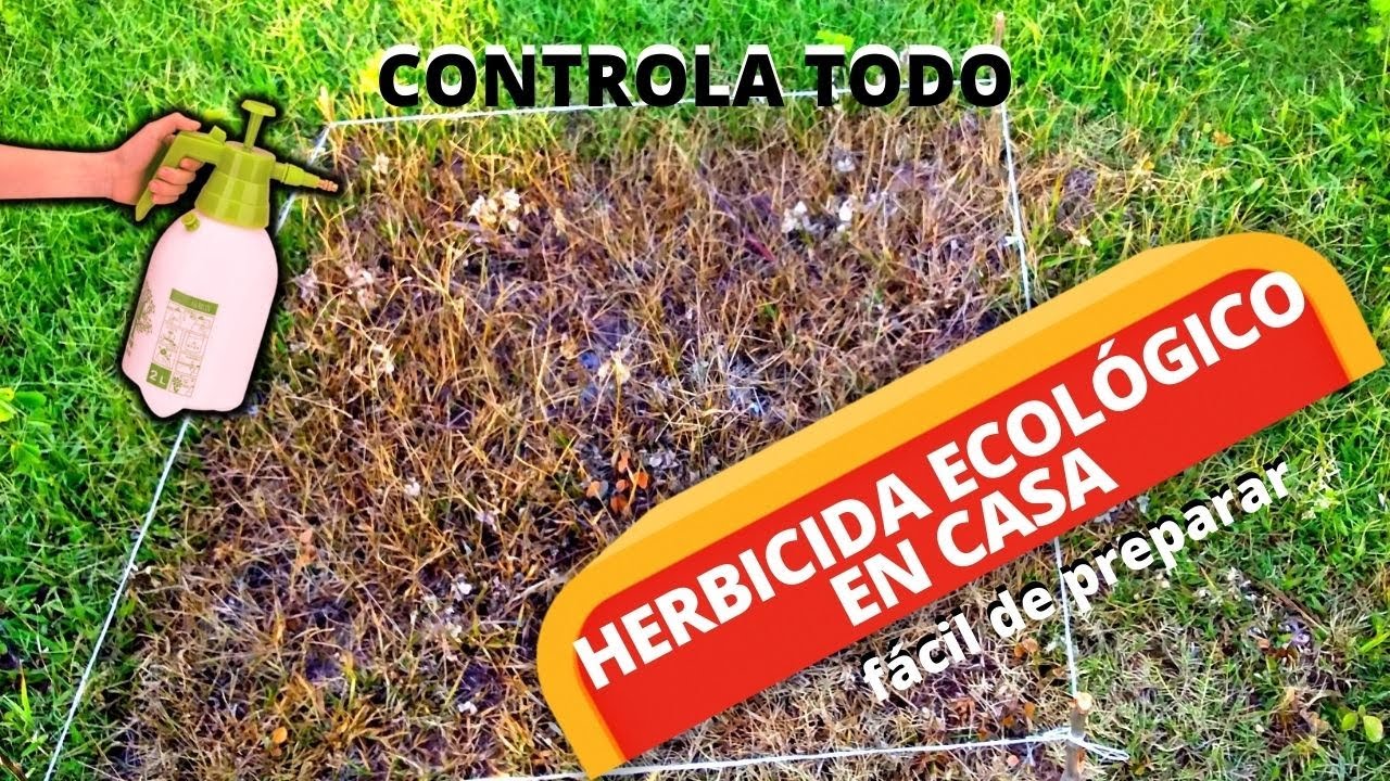 Cómo Preparar Un HERBICIDA CASERO NATURAL 100% ECOLÓGICO - Herbicida Orgánico