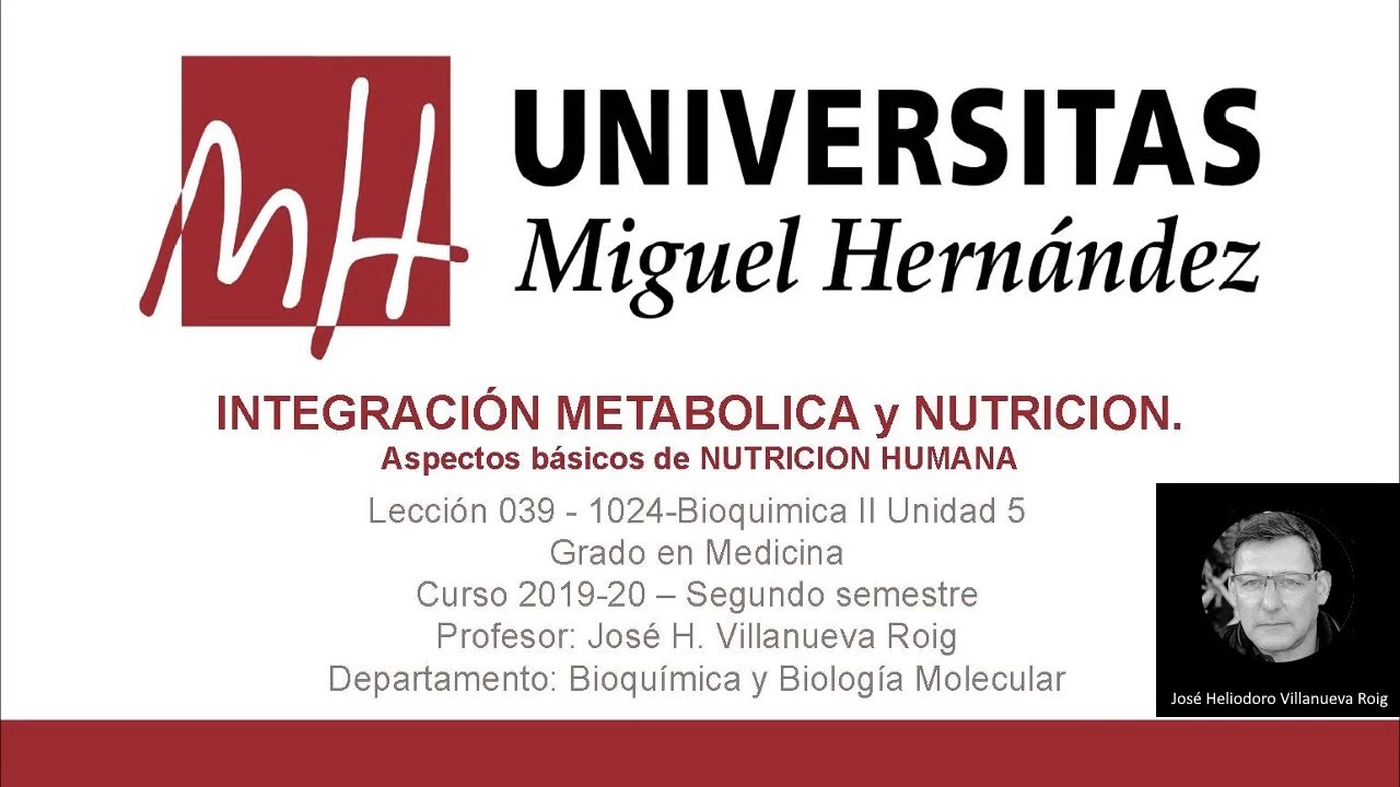 Lec039 Aspectos b&aacute;sicos de Nutrici&oacute;n Humana (Umh1024 2019-20)