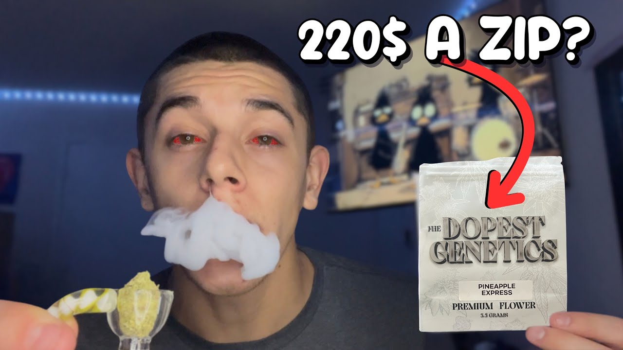 MOST FLAVORFUL STRAIN EVER?! | The Dopest Shop Premium Flower Review!