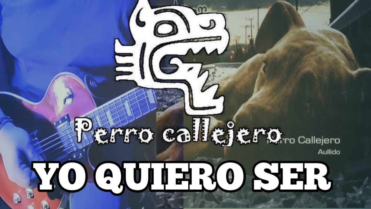 Yo quiero ser - Perro callejero Electric guitar cover by Fasie covers