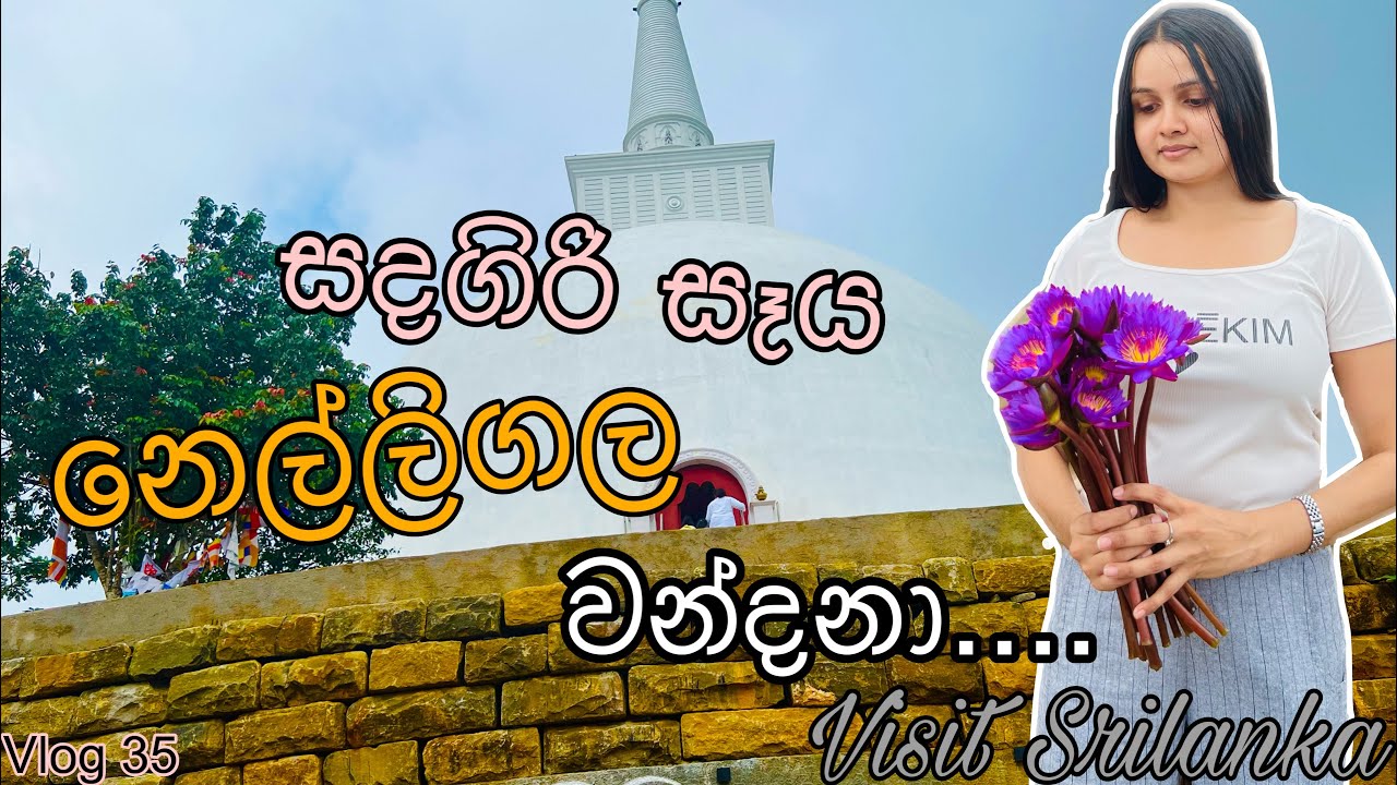 අපේ නුවර ගමන | Nelligala international buddhist temple | Sandagiri seya temple | @WolfyVlogs