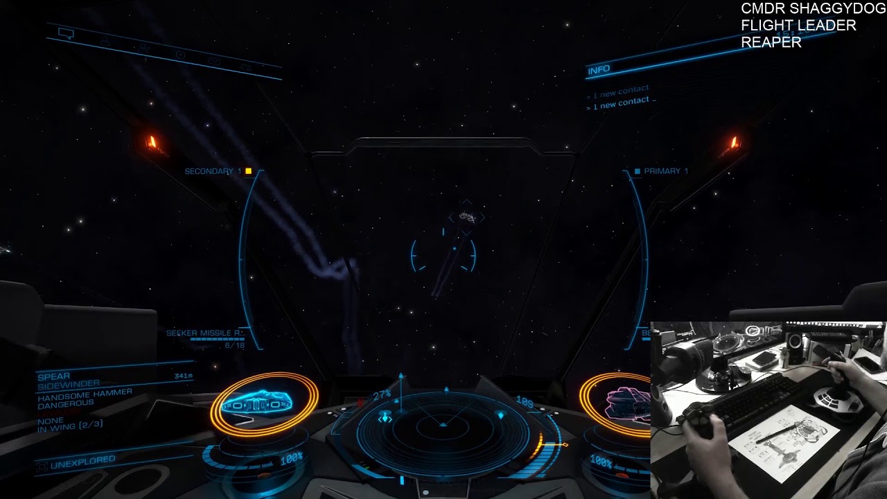 Elite Dangerous: Dual Sticks