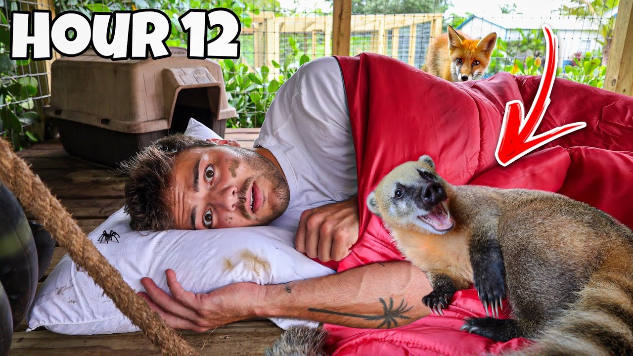 I Spent OVERNIGHT inside My EXOTIC ANIMAL Enclosure!! (crazy)