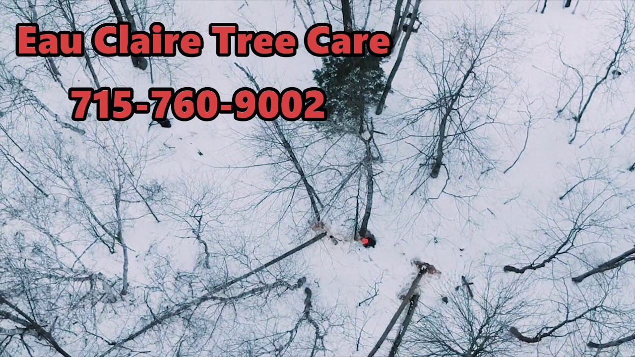 Tree Service Eau Claire - The Best Eau Claire Tree Service!