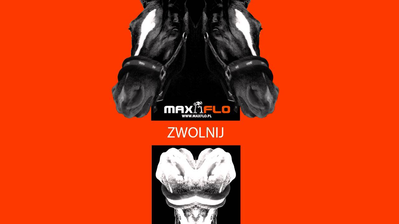 Flaszki i Szlugi - 10 Zwolnij (MaxFloLab)