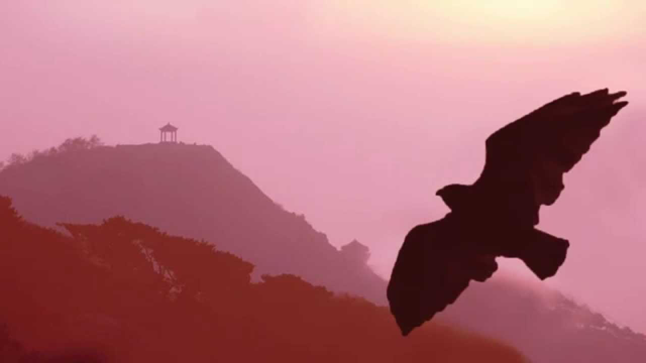 Pan Flute - Angels // Instrumental Worldhits