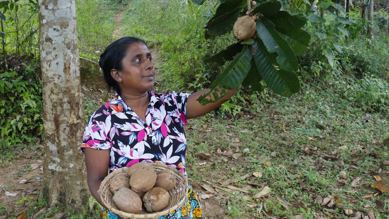 Vateria copallifera seeds. We use these seeds to make delicious dishes.   village kitchen recipe