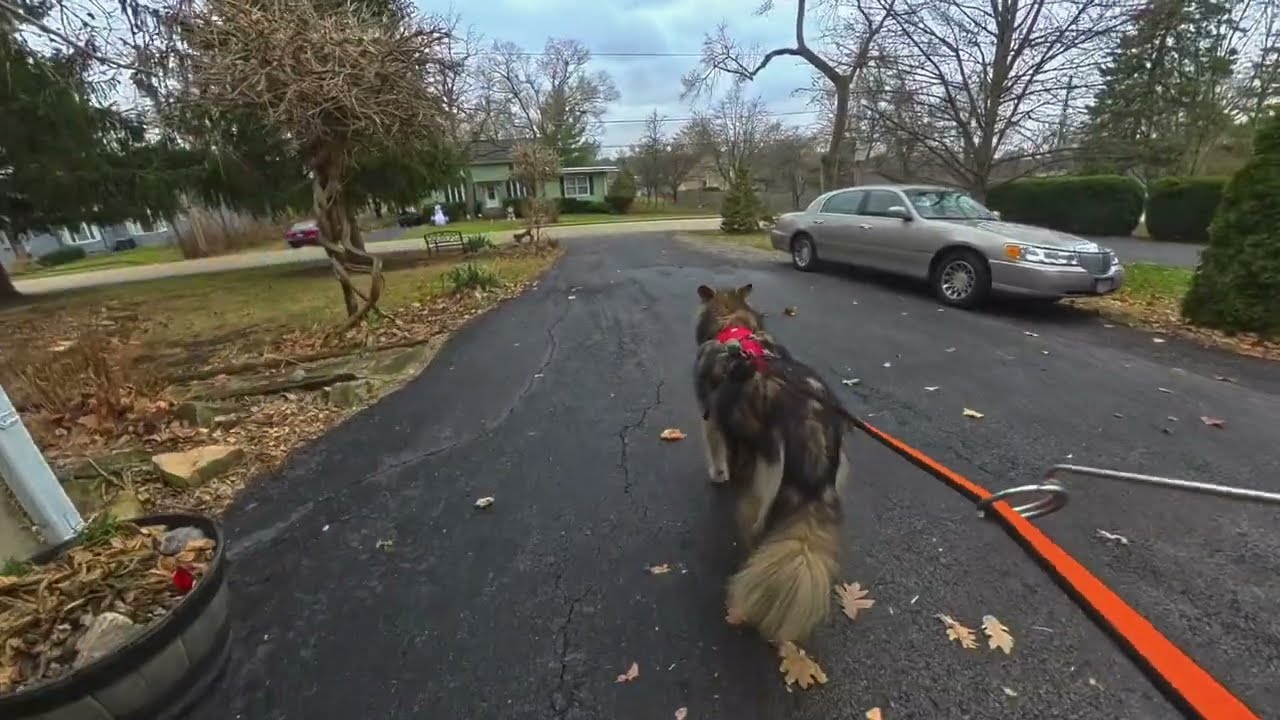Bikejoring Tunda