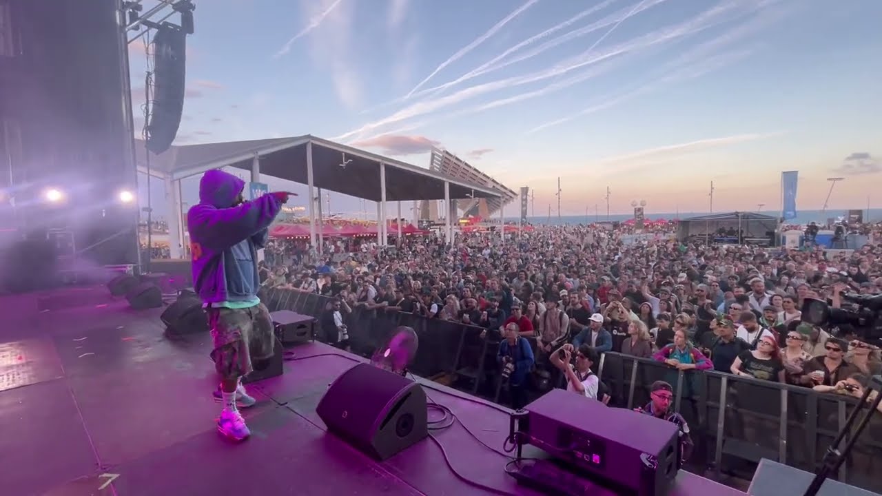 Roc Marciano & ANIMOSS 