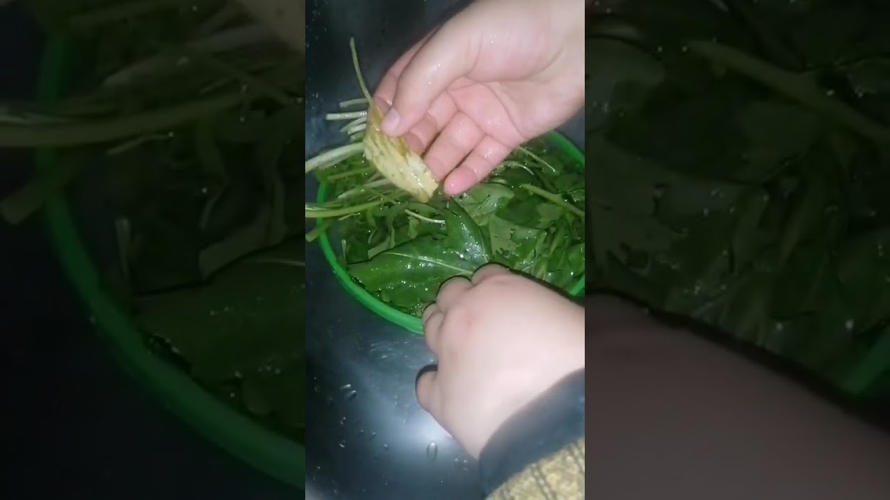 الغداء انهارده