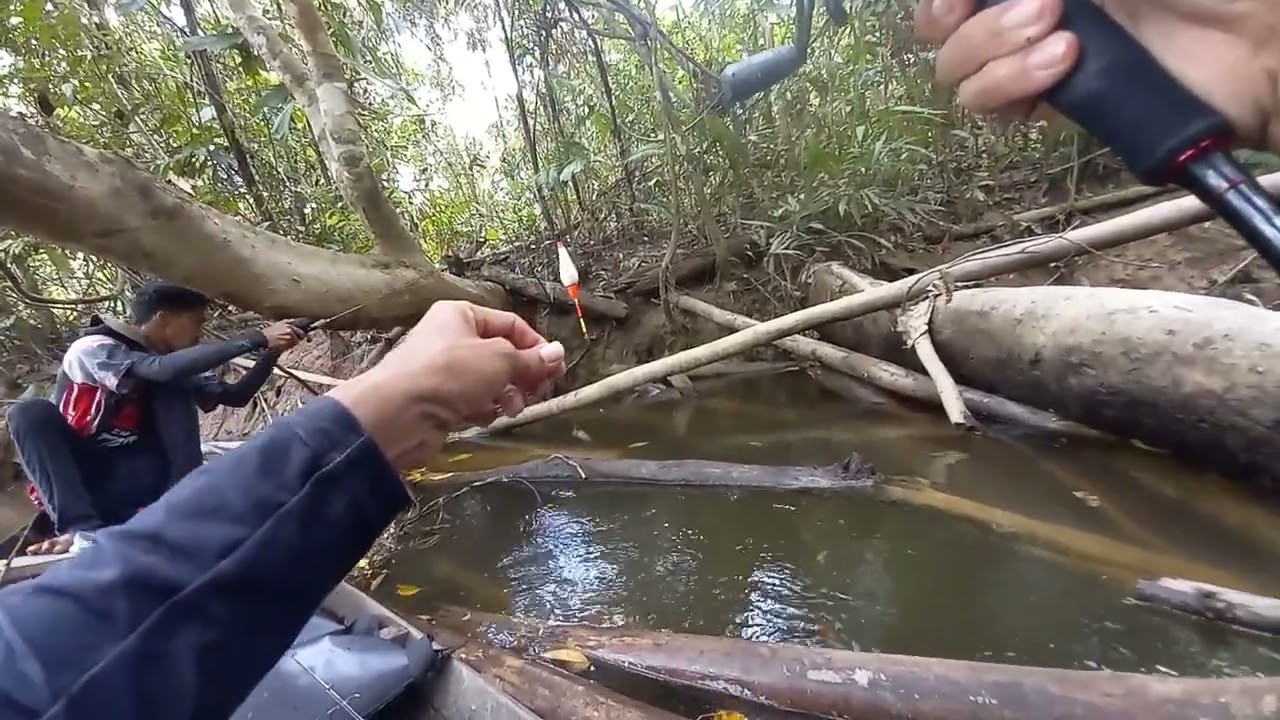 mancing ikan patung || part 10 mancing ikan patung menggunakan umpan jitu#mancingikanpatung