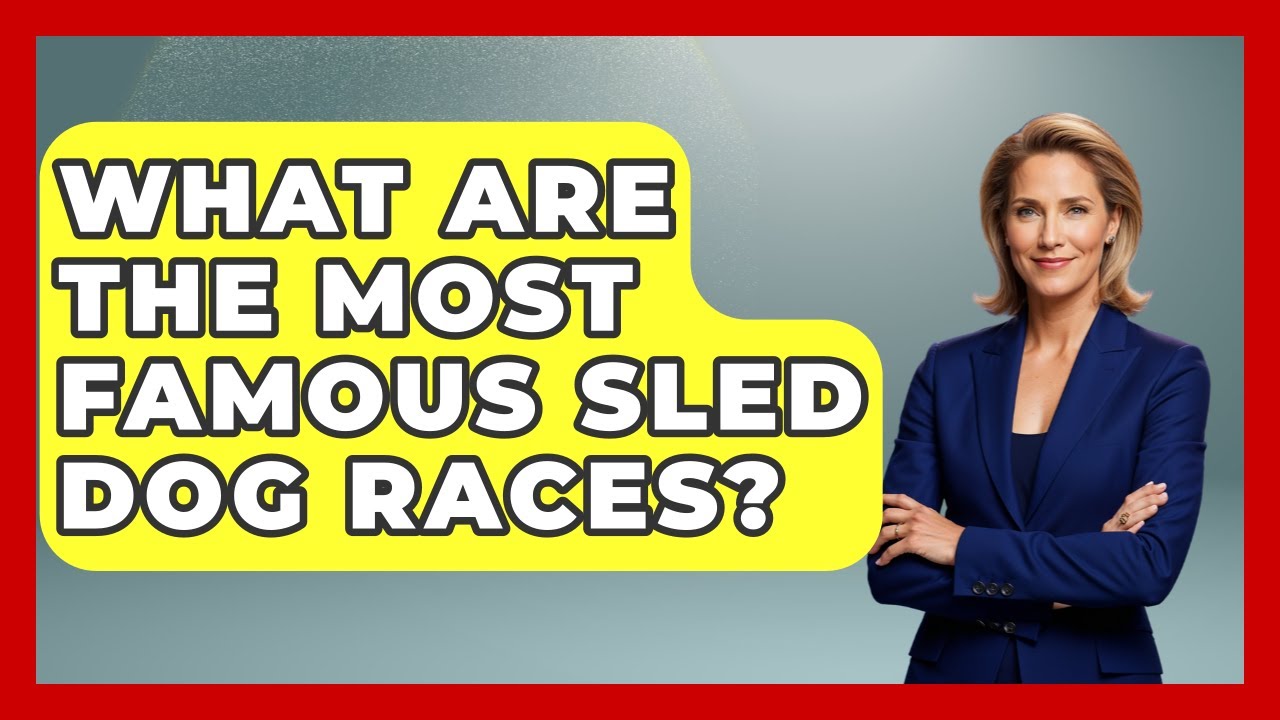 What Are The Most Famous Sled Dog Races? - Polar Regions Uncovered