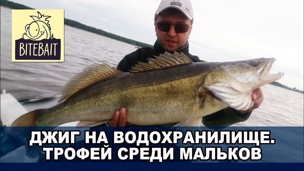 ТРОФЕЙНЫЙ СУДАК НА ДЖИГ с лодки в завале коряжника. Джиг на водохранилище. Aspro 782ml