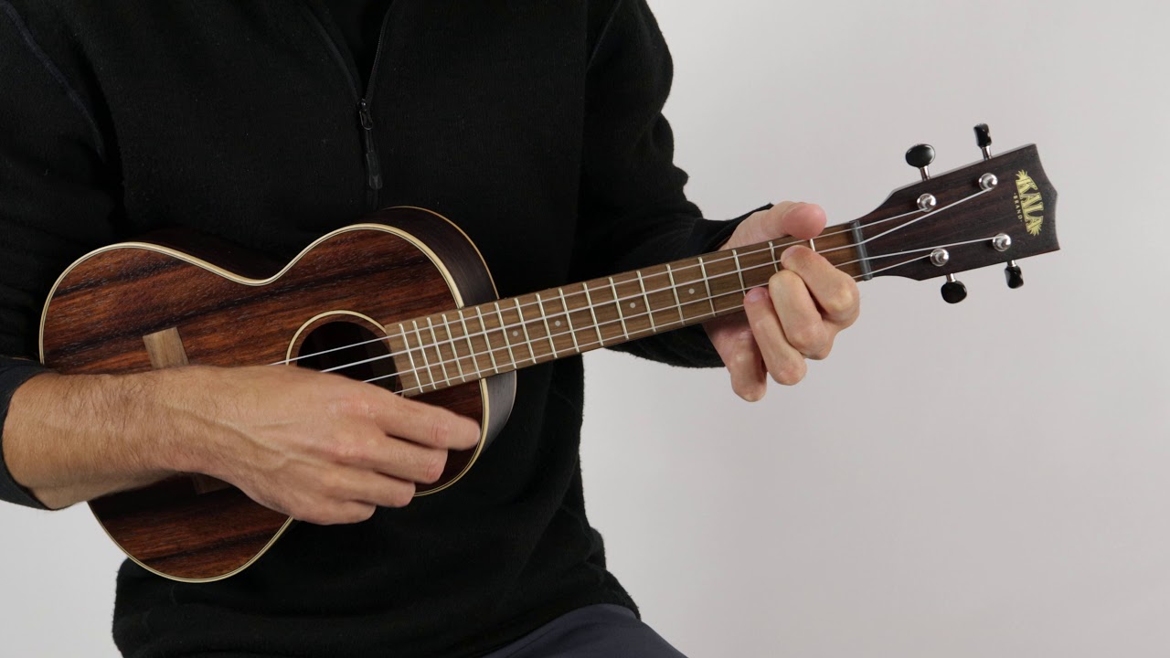 Kala KA-EBY-T Striped Ebony Tenor Ukulele | The Ukebug