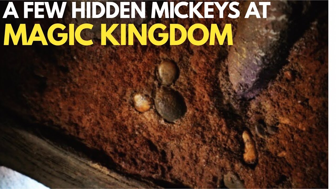 A few Hidden Mickeys at Magic Kingdom - WOM 199