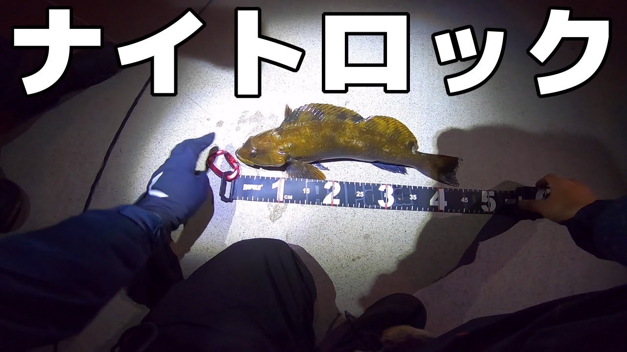 漁港内ナイトロックフィッシュゲーム