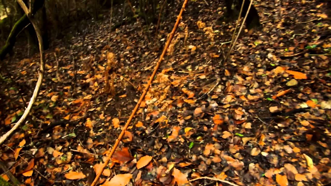 Charco Malo - Cortelazor (Huelva)