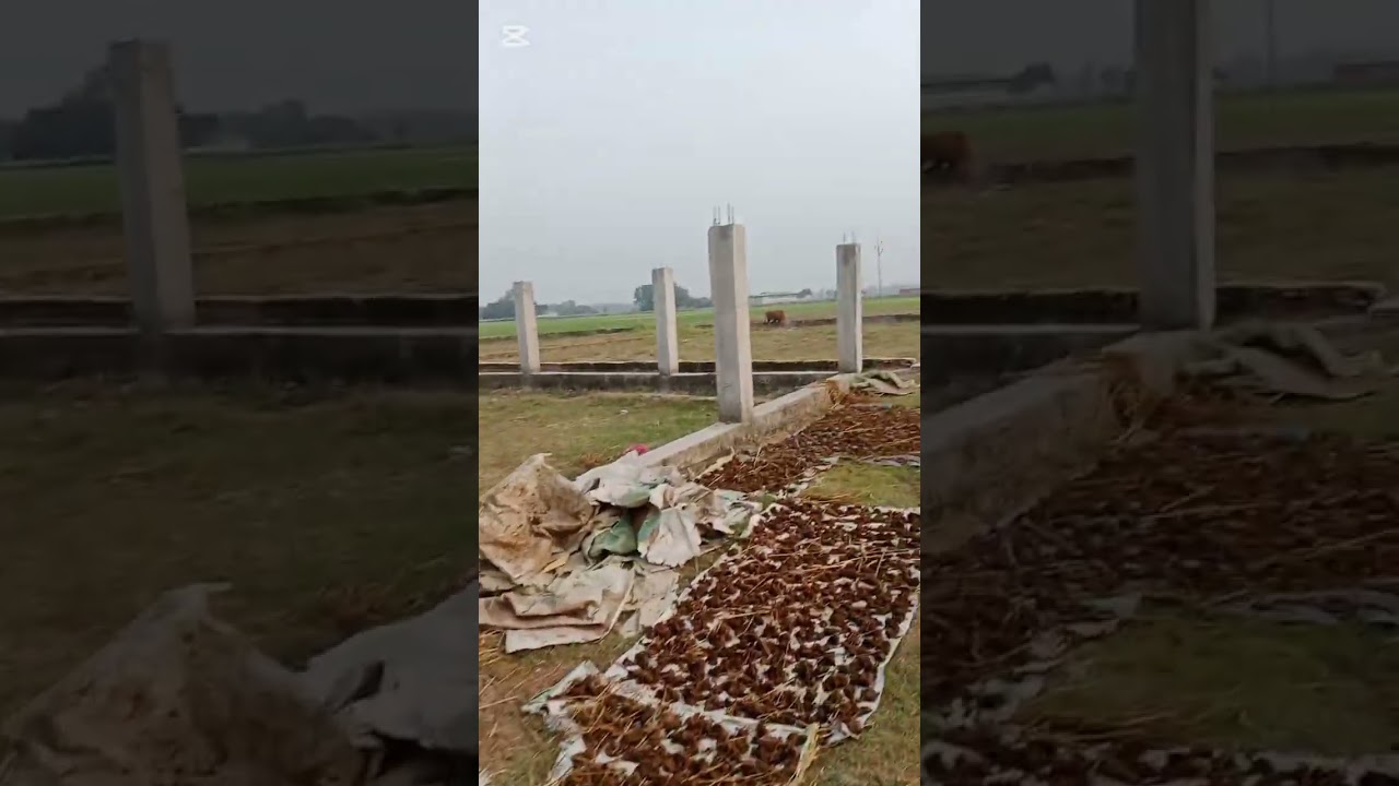 কুমিল্লা ইপিজেটের পাশেরাজাপাড়া ভিতরে একটি জায়গা বিক্রি হবে যোগাযোগ ০১৭৩৬৫৩১৯০০